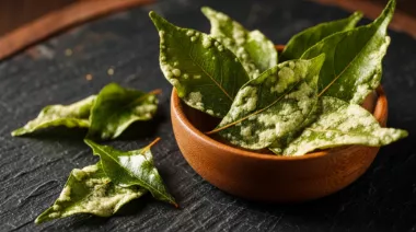 garnishing-instructions-image